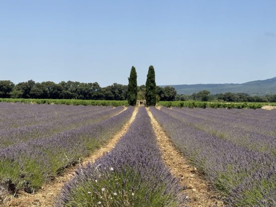 The Clos de la Tuilière Grignan - photo of the day