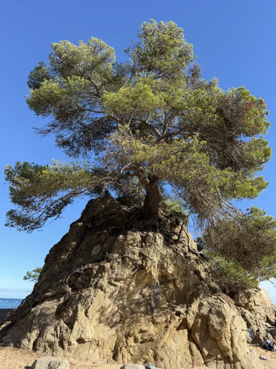 Le Clos de la Tuilière Grignan - foto van de dag