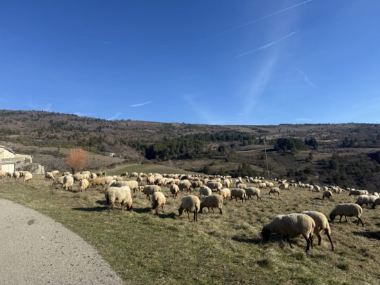 The Clos de la Tuilière Grignan - photo of the day
