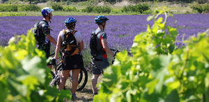 Bike Rental in Drôme Provençale Grignan