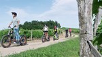 ELECTRIC SCOOTERS
